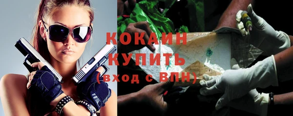 молекула духа Касимов