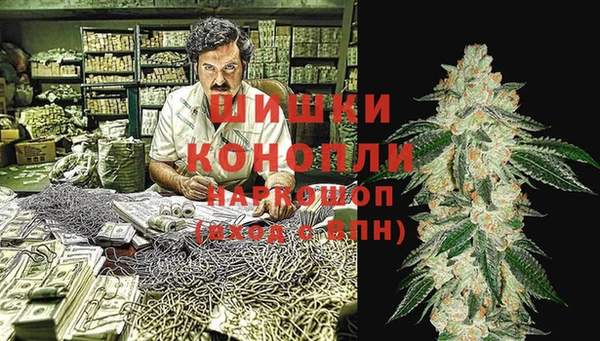 молекула духа Касимов