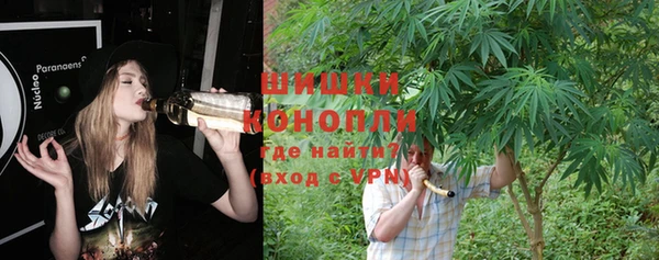 дживик Карпинск