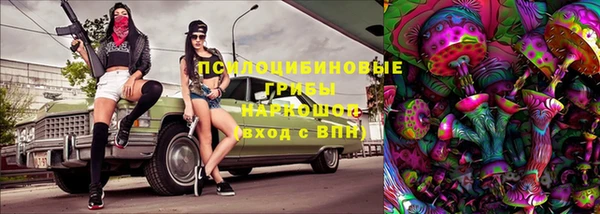 PSILOCYBIN Каменногорск