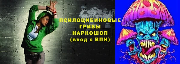 соль ск Карталы