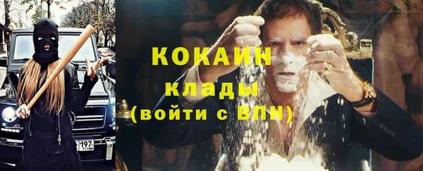дживик Карпинск