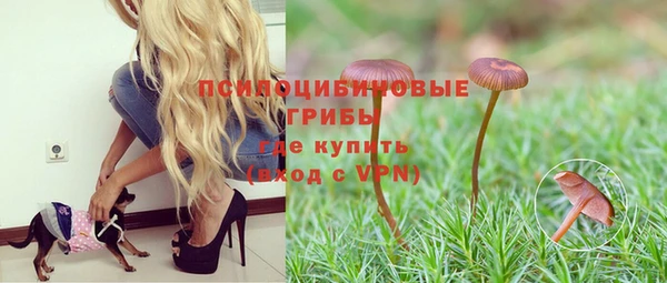 соль ск Карталы