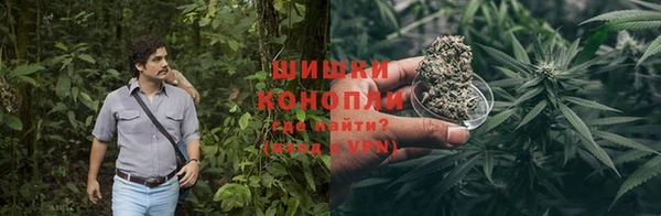 PSILOCYBIN Каменногорск