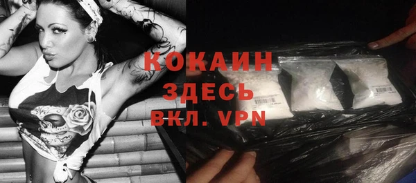 дживик Карпинск